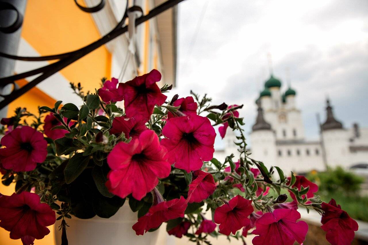 Фото Гостиницы Боярский двор Ростов 94